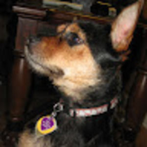 Meet your Posher, Matthew